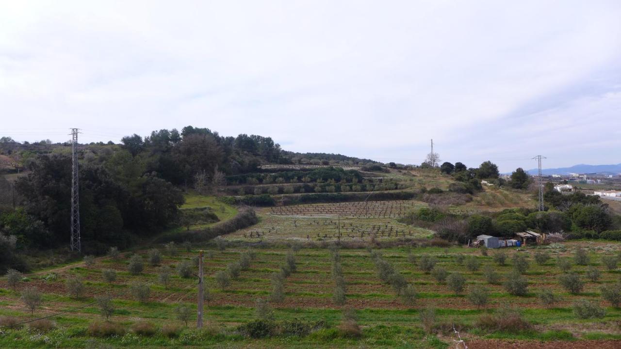Agroturisme Cal Jeroni Avinyonet del Penedes Eksteriør bilde