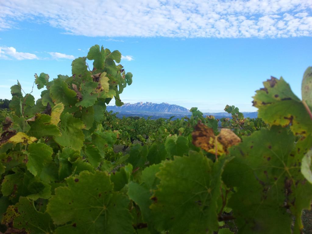 Agroturisme Cal Jeroni Avinyonet del Penedes Eksteriør bilde
